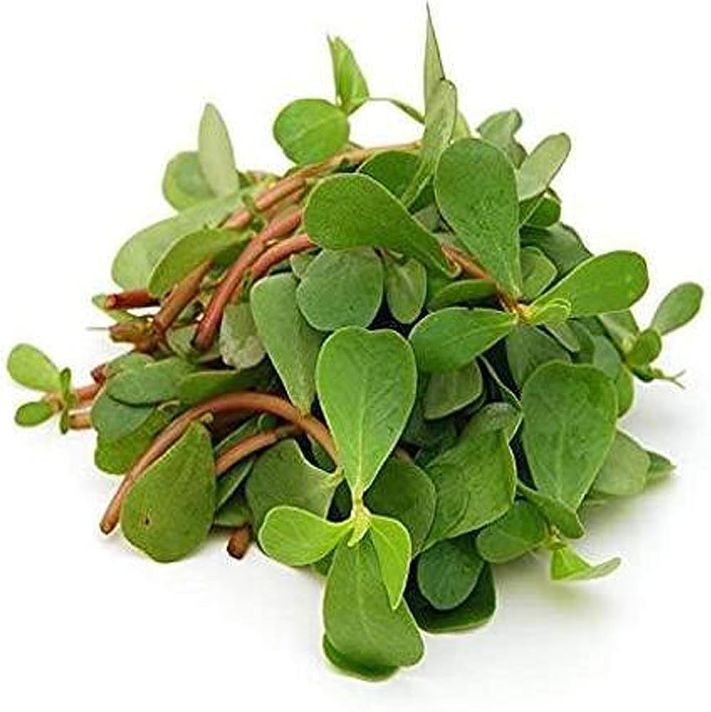 Purslane (गुलफा साग)